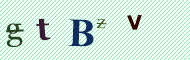 CAPTCHA code